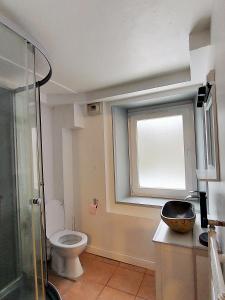 a bathroom with a toilet and a sink and a window at Gite Les Loges d'Arbez in Septmoncel