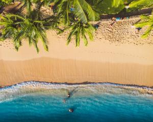 una vista aérea de una playa con palmeras y el océano en Imagine972 Martinique Bateau Hotel à Quai le Marin 3 Cabines 3 Salles de bains 6 pers maxi en Le Marin