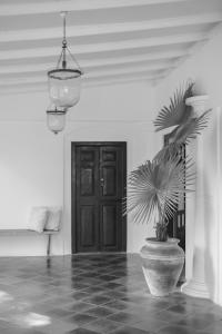 Fotografie z fotogalerie ubytování The Kip v destinaci Ahangama