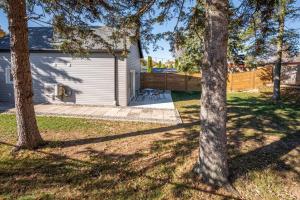 a yard with two trees and a house at Kingsdale Designer Tiny House with Tesla Charger in Kitchener
