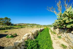 Paesaggio naturale nelle vicinanze of country house