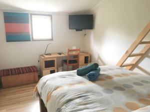 1 dormitorio con cama y escritorio en Airesbuenos Hostel y Permacultura, en Valdivia