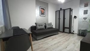 Χώρος καθιστικού στο "13" Apartament w Sandomierzu przy Starówce