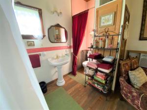 een badkamer met een wastafel, een spiegel en een wastafel bij The Victorian Cottage at Creekside Camp & Cabins in Marble Falls