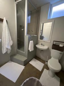 a bathroom with a toilet and a shower and a sink at Chateau du Windhoek in Windhoek