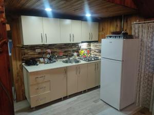 een keuken met een witte koelkast en een wastafel bij Barybari in Khulo