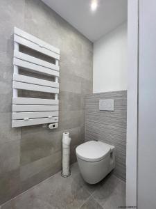 ein Bad mit einem weißen WC in einem Zimmer in der Unterkunft Magnifique appartement les pieds dans l’eau à Nice in Saint-Laurent-du-Var