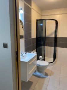 La salle de bains est pourvue de toilettes, d'un lavabo et d'une douche. dans l'établissement Nowa Biała Apartament - domek na wyłączność, à Nowa Biała