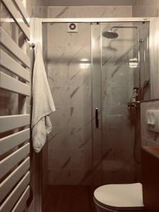 ein Bad mit einer Dusche und einem WC in der Unterkunft Villa Valf in Posedarje