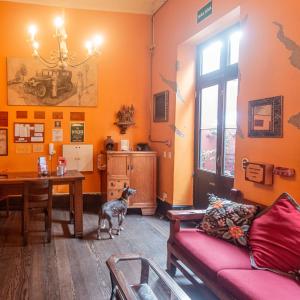 ein Hund steht in einem Wohnzimmer mit einem Tisch in der Unterkunft KACLLA, The Healing Dog Hostel in Lima