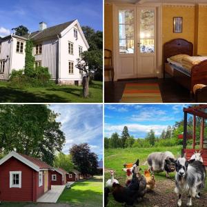 a group of four pictures of chickens and a house at Ingebo Hagar bondgårdsboende in Vimmerby