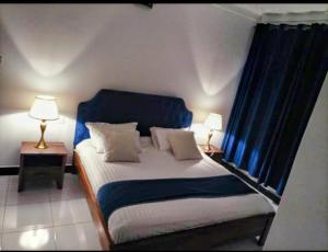 1 dormitorio con 1 cama con cortinas azules y 2 lámparas en Villa Bunyonyi, en Kabale
