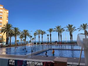 a swimming pool with palm trees in the background at Costa Hollandia in Algarrobo-Costa