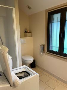 Un pequeño baño con inodoro y ventana. en Maisonnette vue panoramique lac d'Annecy, en Veyrier-du-Lac 17 fotos más