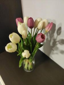 Fotografia z galérie ubytovania Casa Vacanze Zia Rose v Neapole