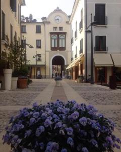 a bouquet of purple flowers in a street at Suite Latina - San Leonardo in Treviso