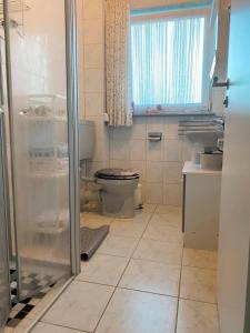 a bathroom with a toilet and a sink and a shower at FeWo Marianne in Neukamperfehn