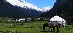 a person walking a horse in a field with a tent at Ala-Kul guesthouse in Altyn-Arashan in Karakol