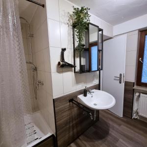 een badkamer met een wastafel en een douche bij harmony holiday in Jünkerath