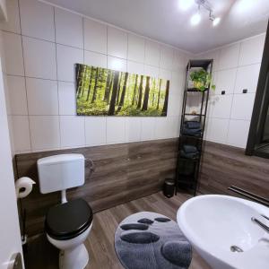 a bathroom with a toilet and a sink at harmony holiday in Jünkerath
