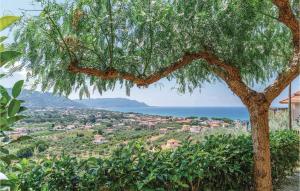 a tree with a view of a town and the ocean at Amazing Home In S M Di Castellabate in Castellabate +11 photos