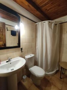a bathroom with a white toilet and a sink at La Antigua Posada in Linares de Mora +31 photos