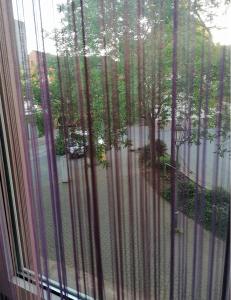 a window with a view of a street and trees at Ferienwohnungen am Holzmarkt, am Rande der Altstadt in Bad Kreuznach +5 photos