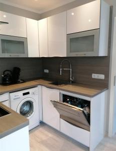 a kitchen with a washing machine and a sink at Ferienwohnungen am Holzmarkt, am Rande der Altstadt in Bad Kreuznach
