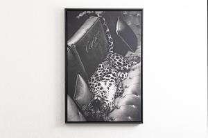 a picture of a jaguar in a box at BlackNCozy - Design Appartement mit Boxspringbett und Balkon in Lörrach