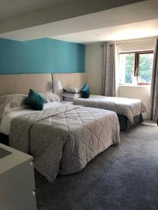 2 camas en un dormitorio con paredes azules en Reynolds Farm Guesthouse, en Canterbury
