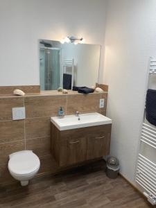 a bathroom with a sink and a toilet and a mirror at Ferienwohnung Funke F3 für Monteure in Apolda