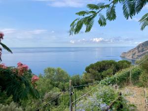 a view of the ocean from a hill at Villa Pietrafiore in Monterosso al Mare