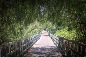 Paesaggio naturale nelle vicinanze della casa vacanze