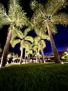 a group of palm trees in a park at night at Île de Pipa com Hidromassagem in Pipa