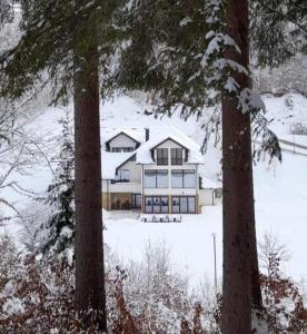 Το Zlatarska dolina τον χειμώνα