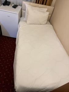 Postel nebo postele na pokoji v ubytování Paris Hotel