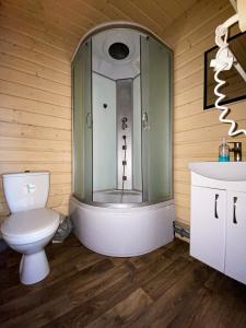a bathroom with a shower and a toilet and a sink at Royal Yablunytsya in Yablunytsya