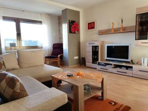 ein Wohnzimmer mit einem Sofa und einem TV in der Unterkunft Ferienwohnung Am Waldrand in Bad Breisig