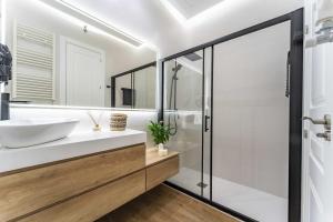 łazienka z umywalką i prysznicem w obiekcie Premium Apartment La Latina w Madrycie