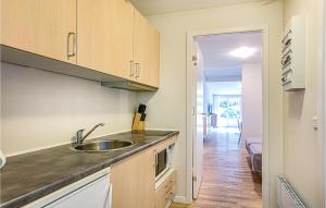 eine Küche mit einer Spüle und einer Arbeitsplatte in der Unterkunft Lovely Apartment In Nex With Sauna in Neksø