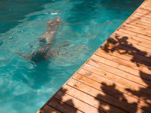 delfin w wodzie obok drewnianego molo w obiekcie Dar Mar Hostel & Coworking w mieście Paje