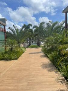 a dirt road with palm trees in the distance at Île de Pipa com Hidromassagem in Pipa