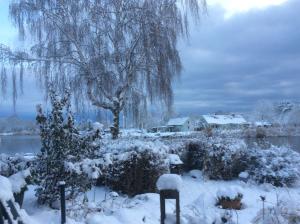 a snow covered yard with a tree and a house at Auszeit am Haffufer in Wilhelmshof