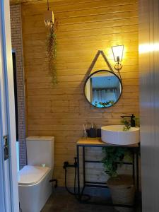 ein Badezimmer mit einem Waschbecken, einem Spiegel und einem WC in der Unterkunft Akhatani Inn in Akhatani
