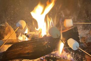 un fuego con un montón de malvaviscos en los palos en Le Gite des Montagnes - Saint Projet de Salers, en Saint-Projet-de-Salers