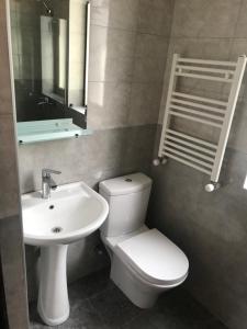 un bagno con un water, un lavandino e uno specchio di House Near Forest a Bakuriani