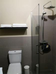 a bathroom with a toilet and a glass shower stall at Casa VERMEN centro de La Laguna, casco histórico in Las Lagunas