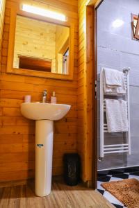 uma casa de banho com um lavatório e um espelho em Hôtel les truites em Imouzzer Kandar