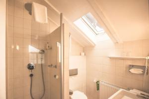 a bathroom with a shower and a toilet and a sink at Boutique Wellnesshotel Landmann in Steinen