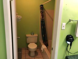 a bathroom with a toilet and a green wall at Ranch House Motel Marksville in Marksville